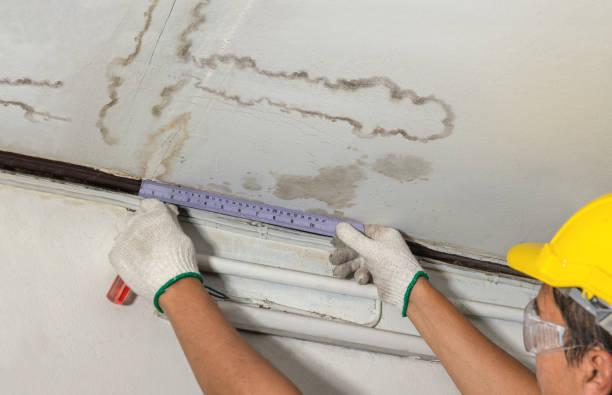 Reliable Mold Remediation contractor in Ho-Ho-Kus, NJ by Water Damage Irwin